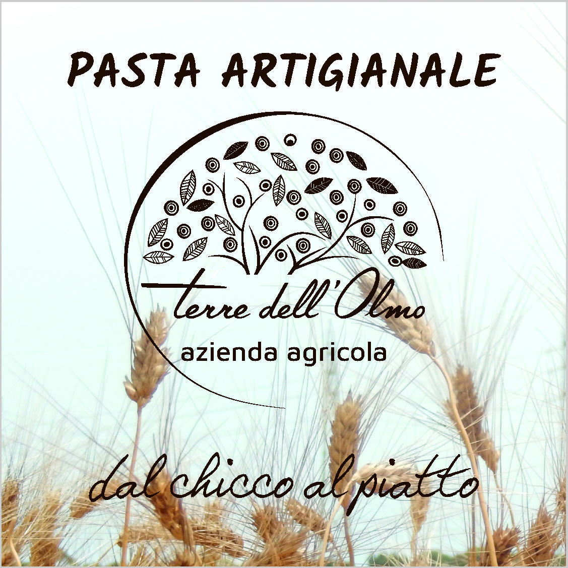 pastificio terredellolmo