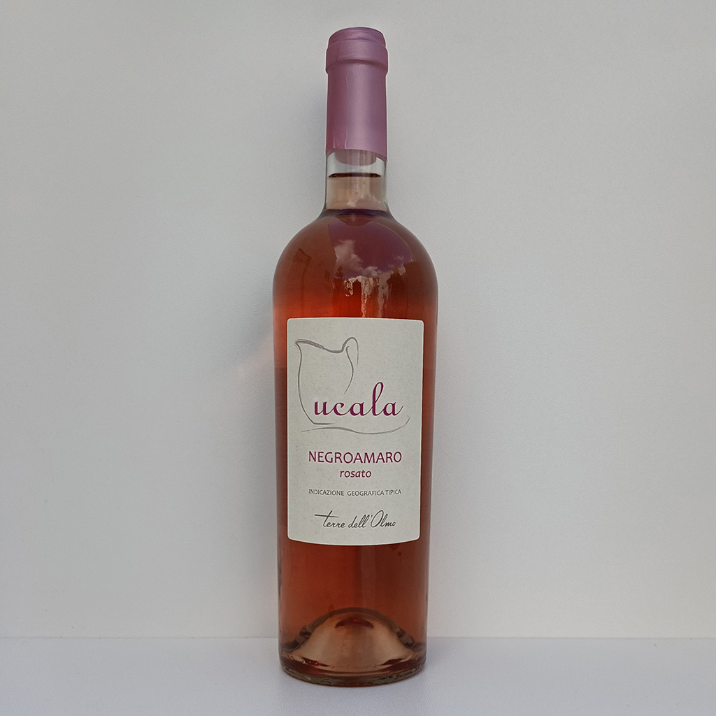 Vino Negroamaro Rosato - Ucala